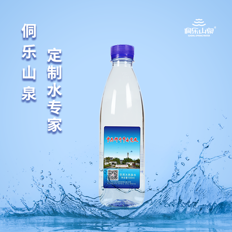 广西定制瓶装水案例欣赏